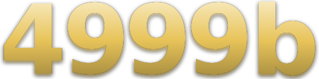 4999 b logo
